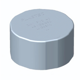 DWV Dust Cap