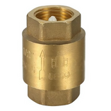 Spring Loaded Check Valve