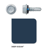 Roofing Screw Metal 10# 16mm Colorbond (100 Pack)