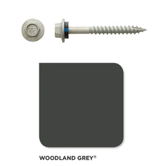 Roofing Screw Timber 12# 65mm Colorbond (100 Pack)