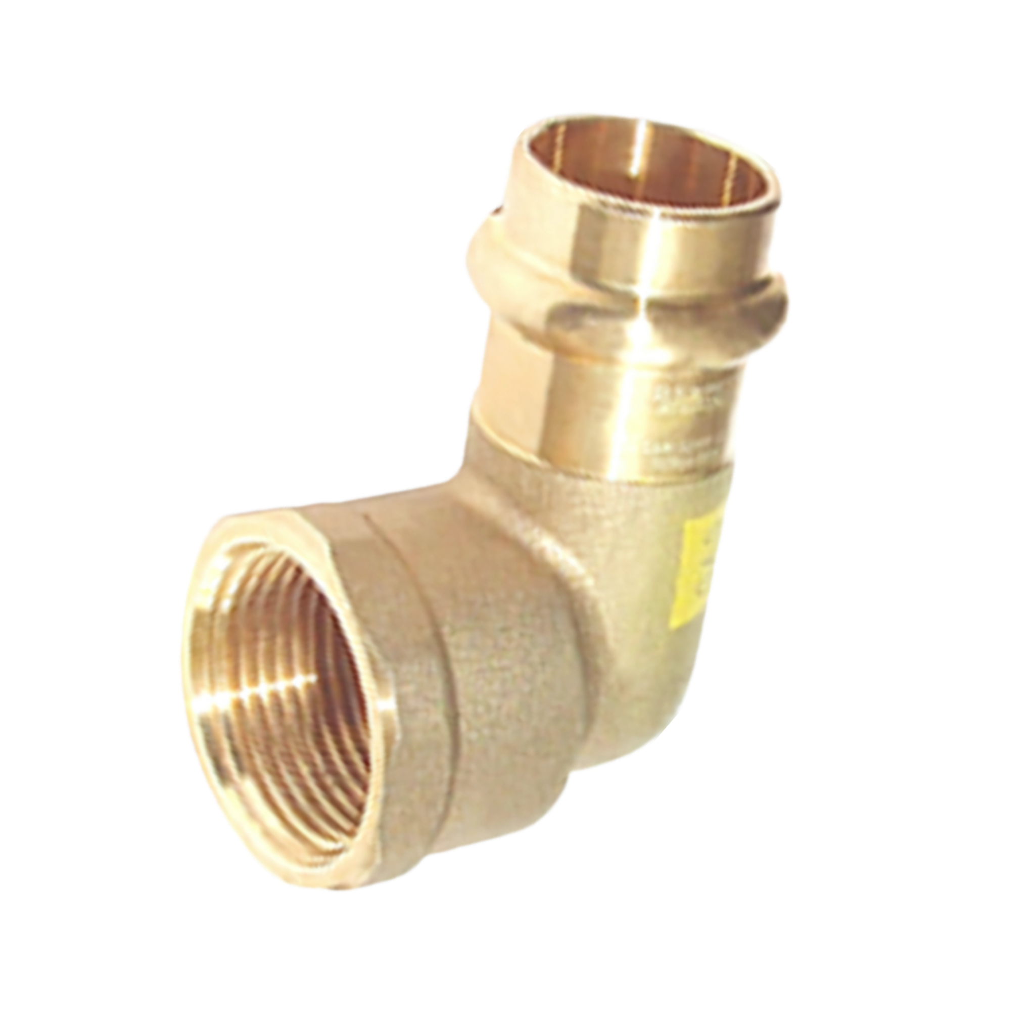 Female Elbow