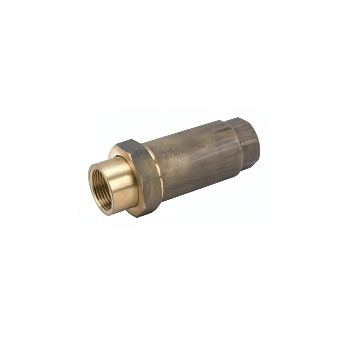 Dual Check Valve Low Hazard