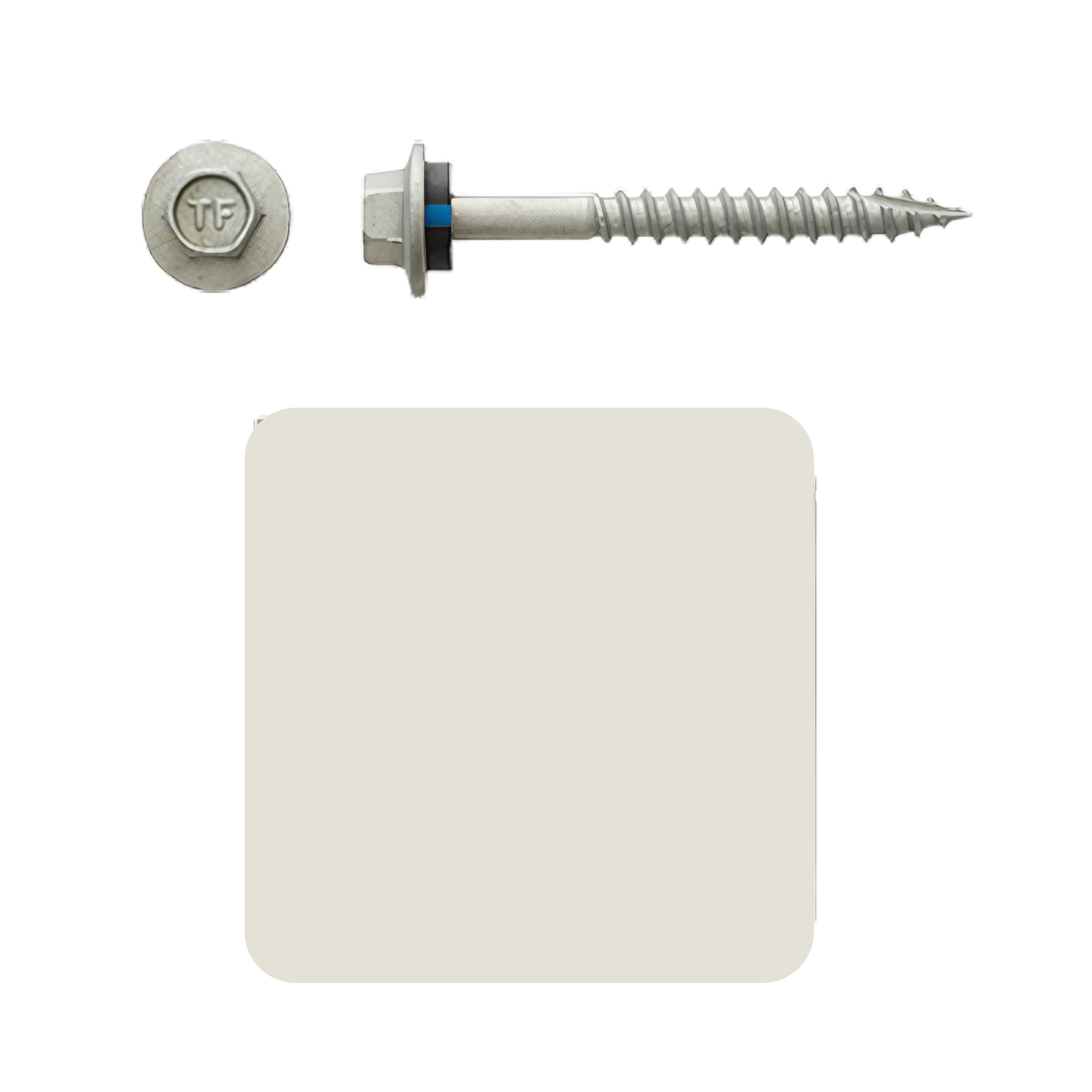 Roofing Screw Timber 12# 50mm Colorbond (100 Pack)