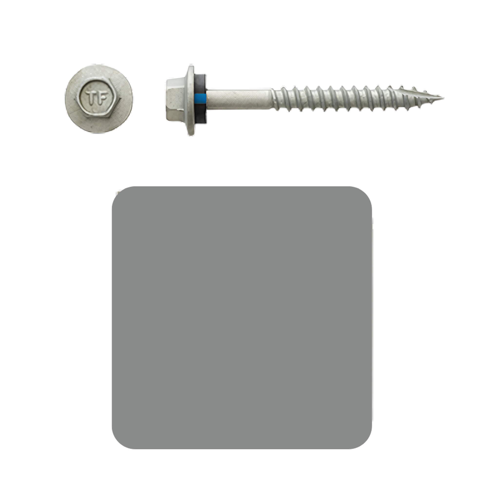 Roofing Screw Timber 12# 50mm Colorbond (100 Pack)