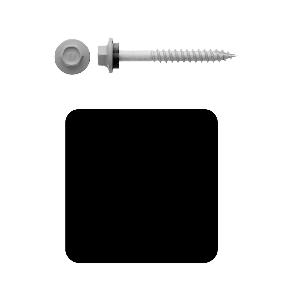 Roofing Screw Timber 12# 65mm Colorbond (1000 Pack)