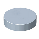 DWV Dust Cap