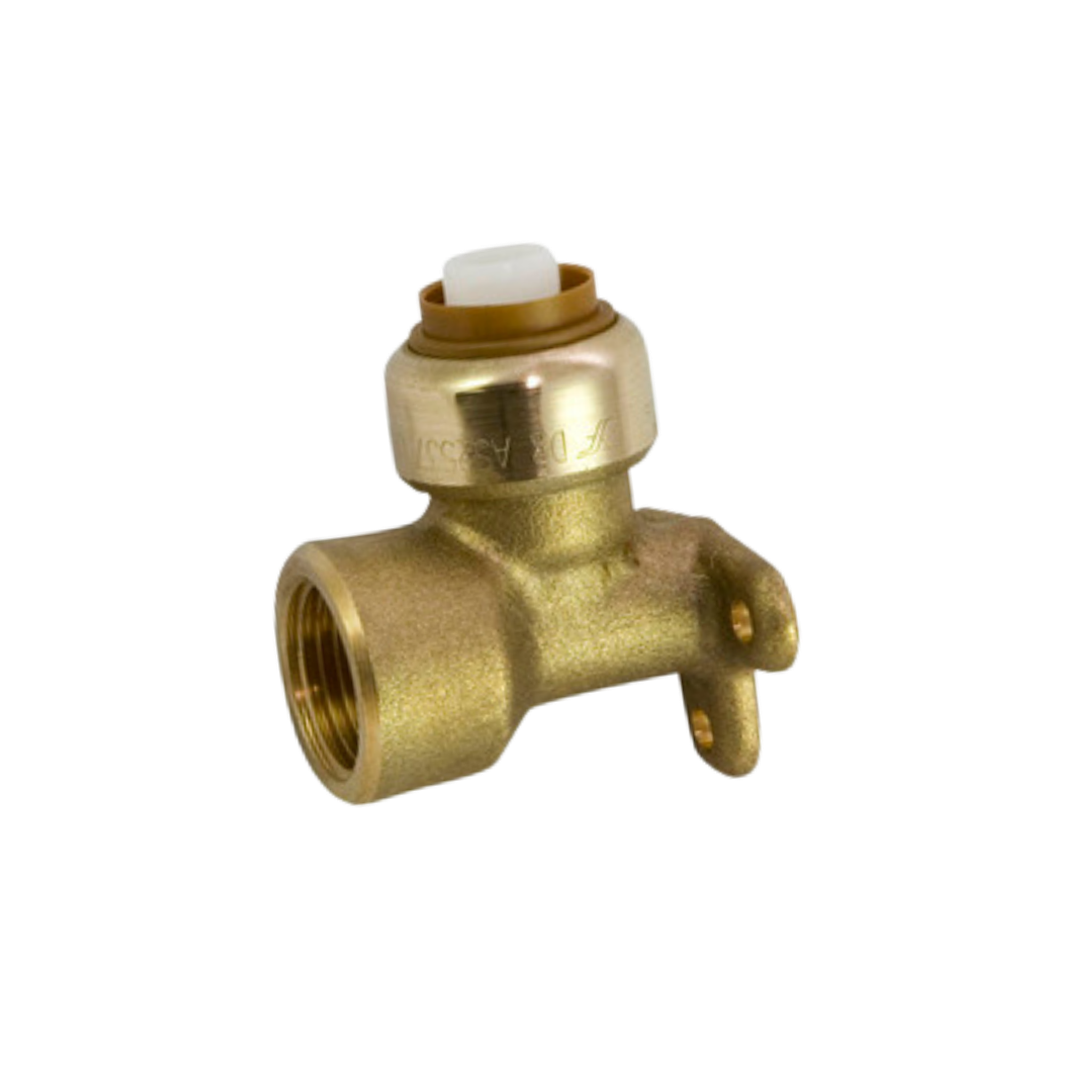 Female Lugged Elbow