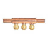 Manifold