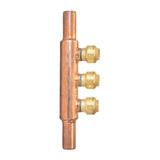Manifold