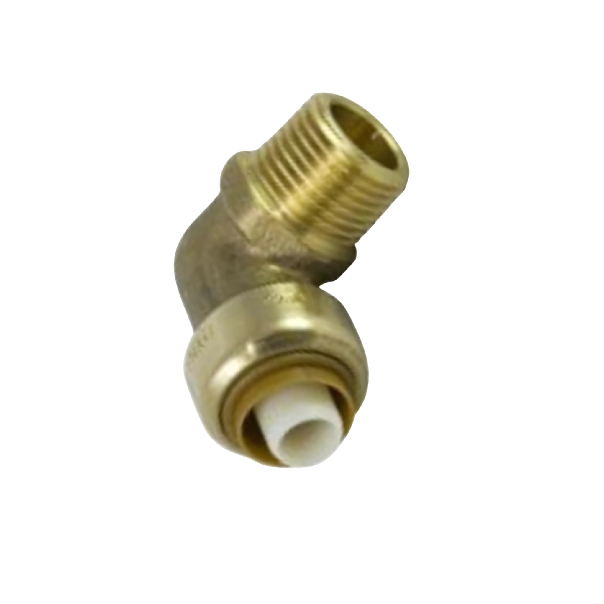 Male Elbow