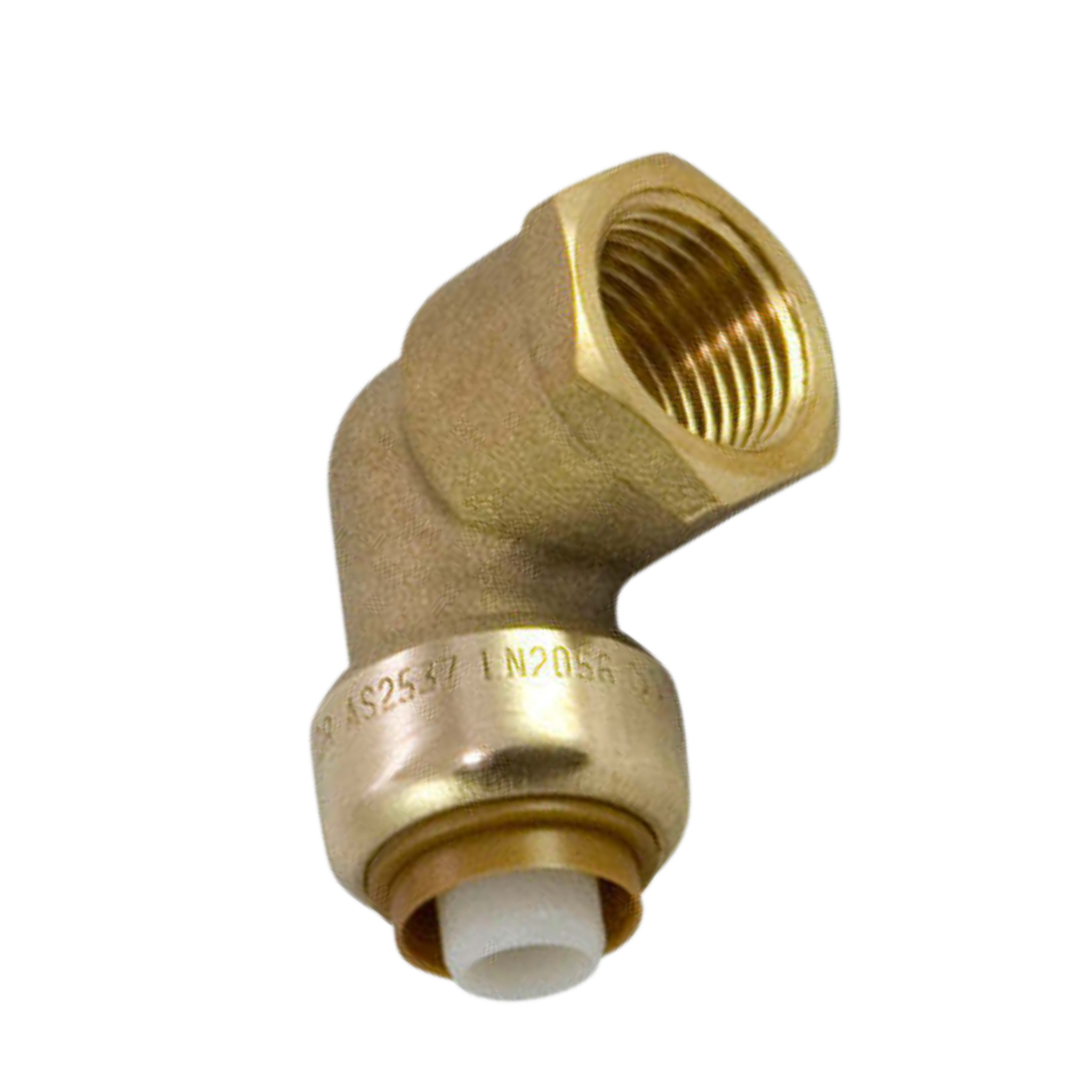 Female Elbow