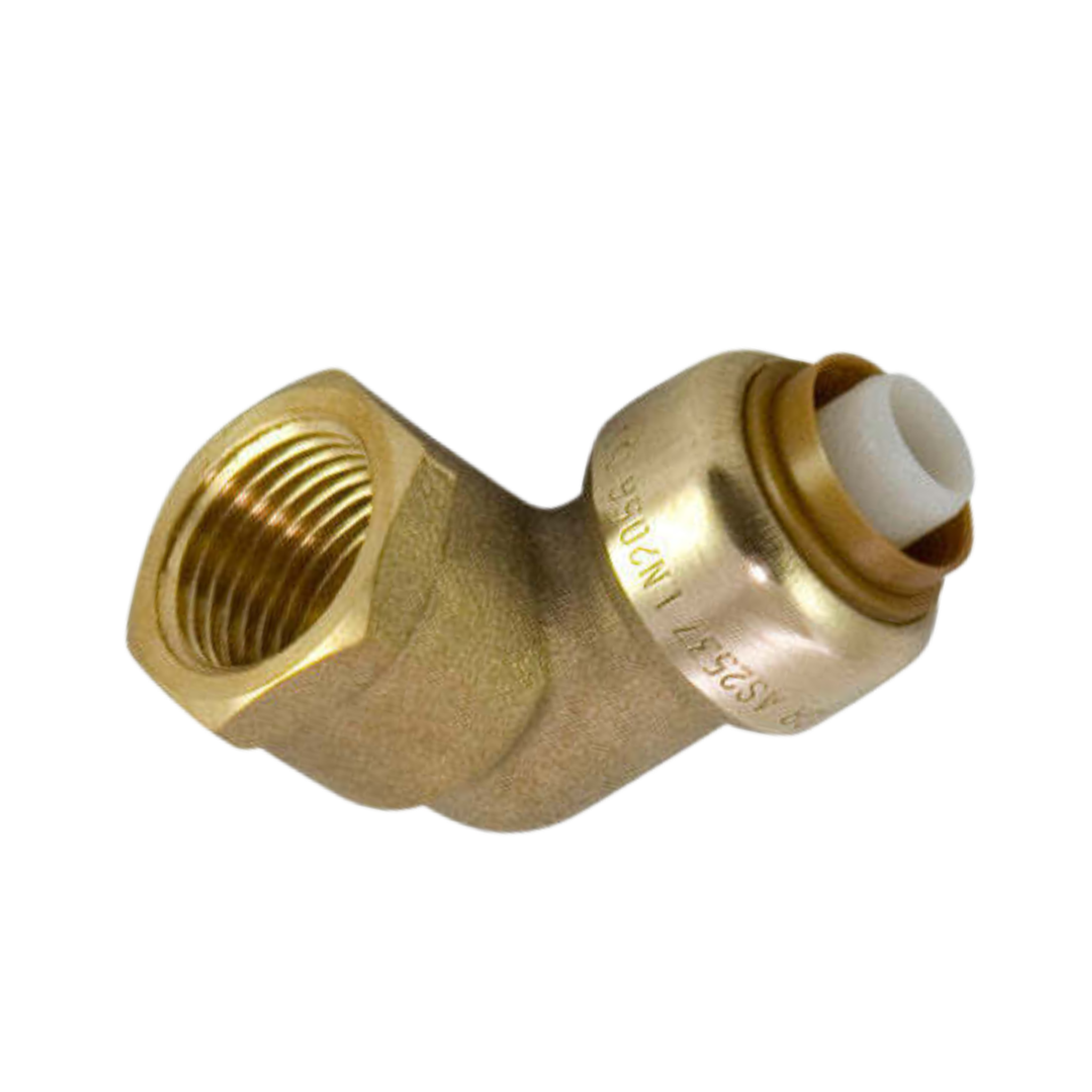 Female Elbow