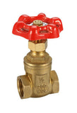 Gate Valve Untested