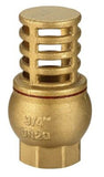 Foot Valve