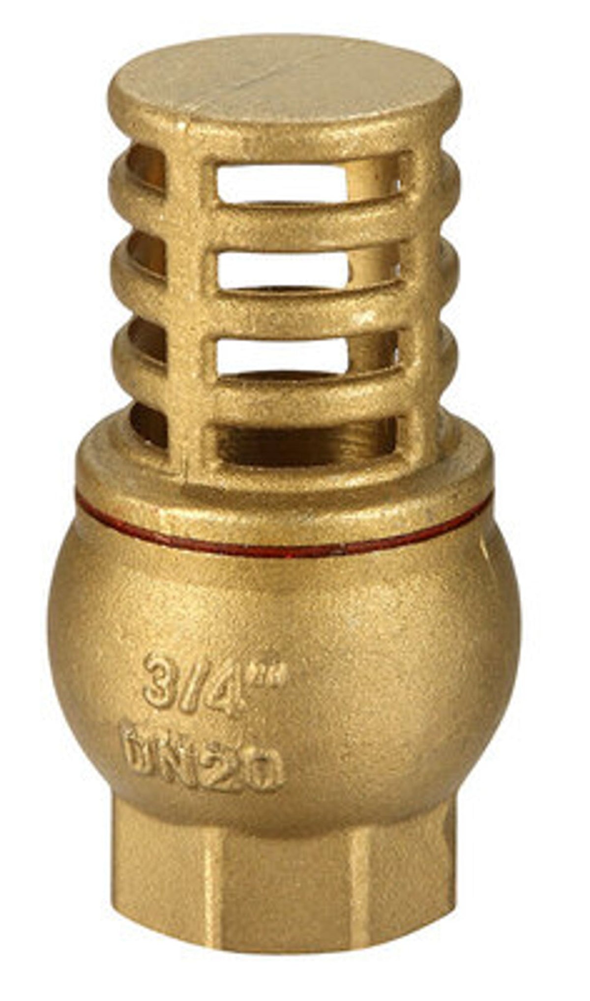 Foot Valve