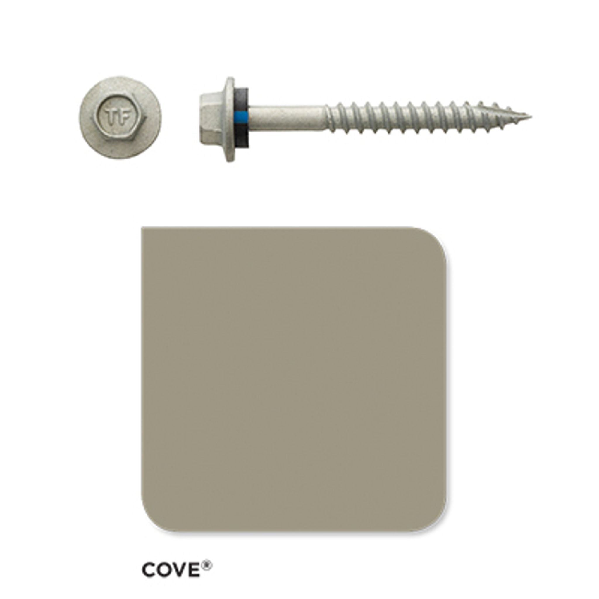 Colorbond Fasteners Roofing Screw Timber 12# 50mm Colorbond (100 Pack) – PlumbersHQ